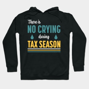 There Is No Crying During Tax Season Hoodie